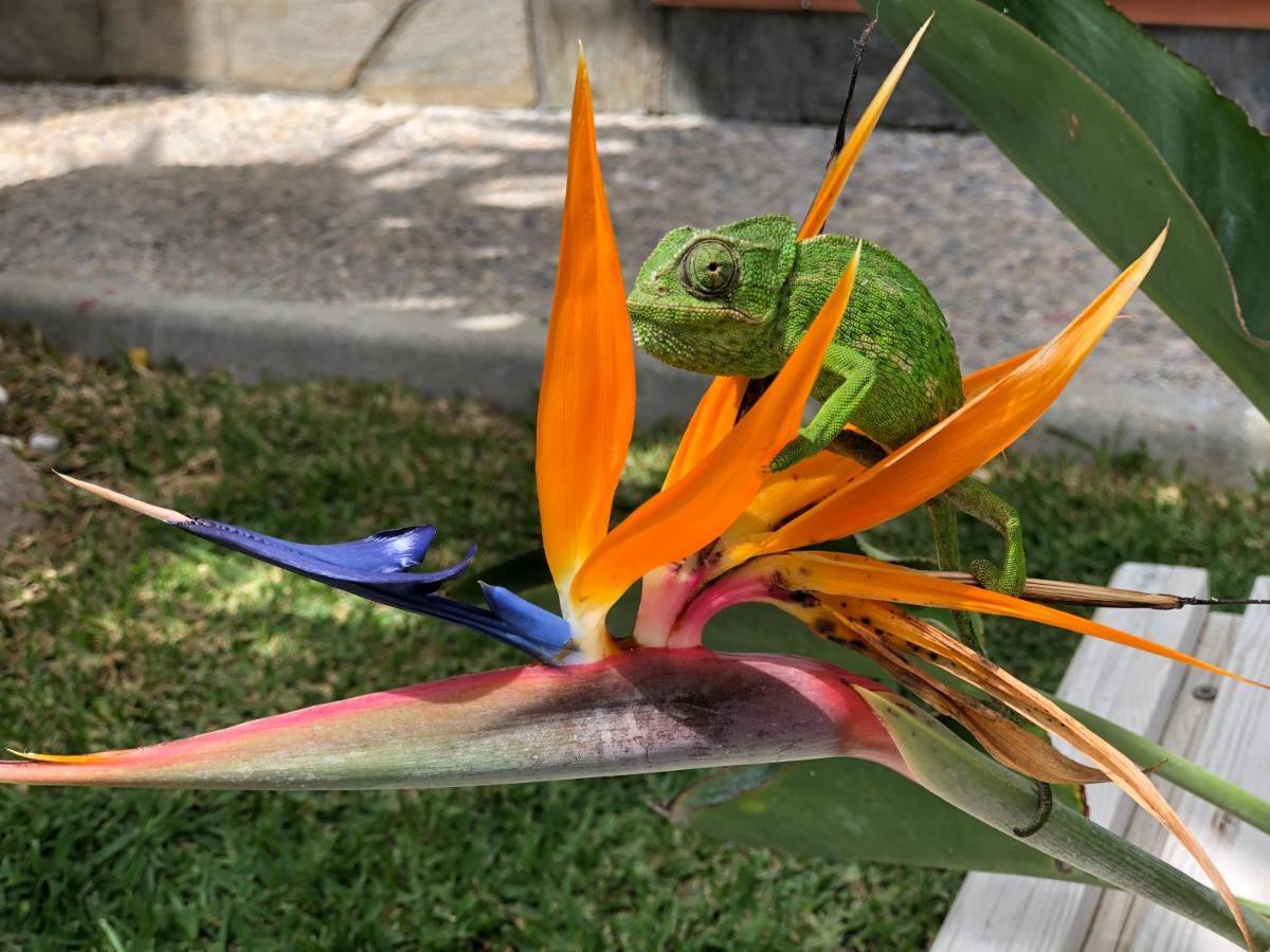 Hostal Casa Arco Iris Los Canos De Meca Dış mekan fotoğraf