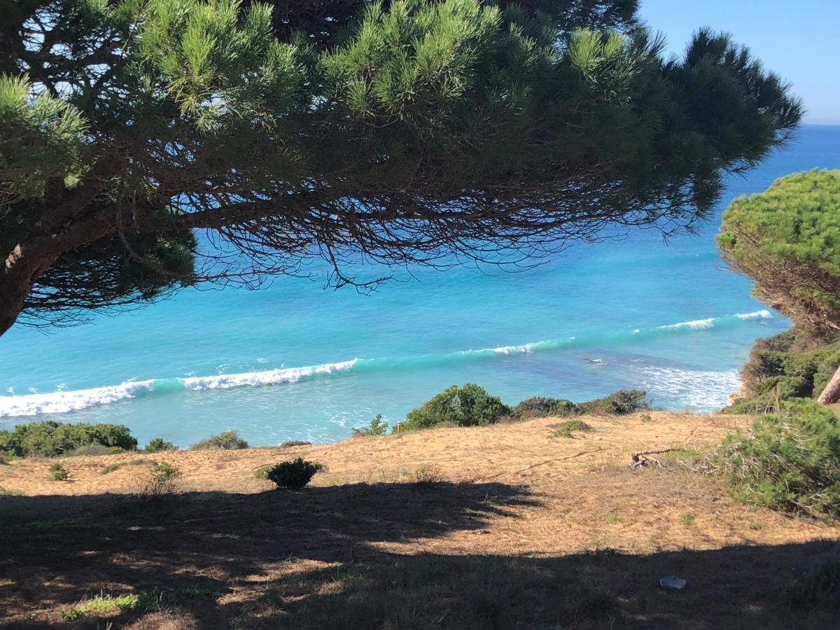Hostal Casa Arco Iris Los Canos De Meca Dış mekan fotoğraf